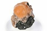 Vibrant Peach Thomsonite on Sparkling Heulandite - India #382277-1